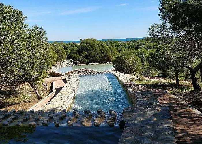 Soleados Cerca De La Playa La Mata *