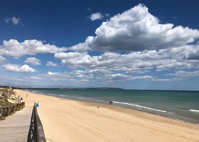 Soleados Cerca De La Playa La Mata Torrevieja